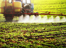 Fin de l’exportation des pesticides interdits